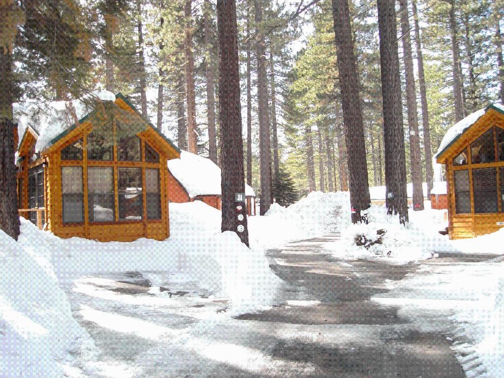 Cedar Pines Resort South Lake Tahoe Exterior photo